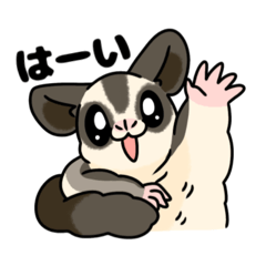 [LINEスタンプ] フクロモモンガのスタンプです