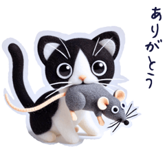 [LINEスタンプ] Tantanハチワレ猫