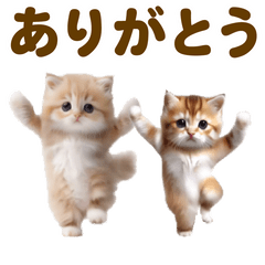 [LINEスタンプ] 踊る！ネコたち！にゃんだふる～2