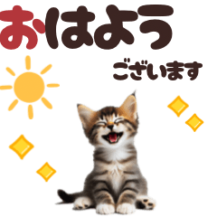 [LINEスタンプ] BIGスタンプ ミヌエットの子猫スタンプ