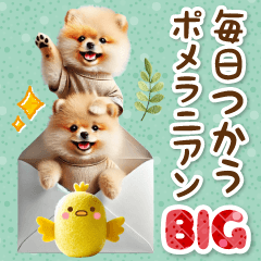 [LINEスタンプ] 毎日使う大人可愛い癒しポメラニアン BIG