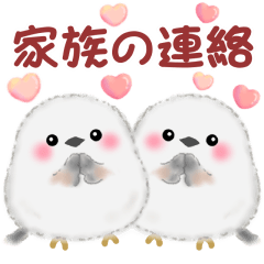 [LINEスタンプ] 家族の連絡☆シマエナガさん