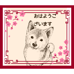 [LINEスタンプ] リアル動物可愛いスタンプの画像（メイン）