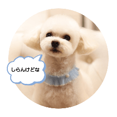 [LINEスタンプ] まるぷー♡♡