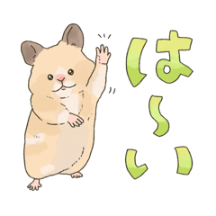 [LINEスタンプ] みんなのげっ歯類ちゃんたち