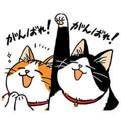 [LINEスタンプ] ゆるっとねこズ