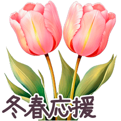 [LINEスタンプ] 冬春 応援 日常✿大人上品お花