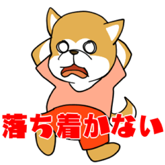 [LINEスタンプ] パニックしてる秋田犬