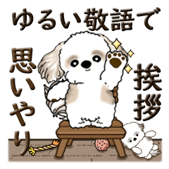 [LINEスタンプ] シーズー犬『ゆるい敬語で挨拶と思いやり』