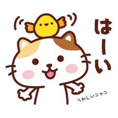 [LINEスタンプ] ねこのニャンタン_ ゆるい言葉