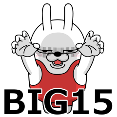 [LINEスタンプ] BIG 擦れうさぎ15