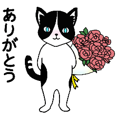 [LINEスタンプ] ハチワレCAT★日常ことば