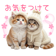 [LINEスタンプ] モコモコな装いの猫さん【敬語多め】