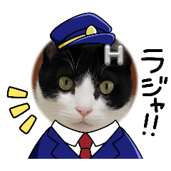 [LINEスタンプ] にゃ～んSticker(桜月＆ホームズ）ラジャ等