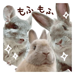 [LINEスタンプ] もふもふROOM