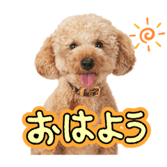 [LINEスタンプ] ときどきだちきち2