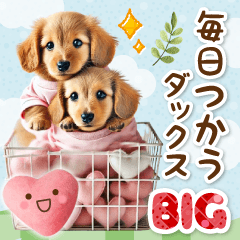 [LINEスタンプ] 毎日使う大人可愛い癒しダックス 【BIG】