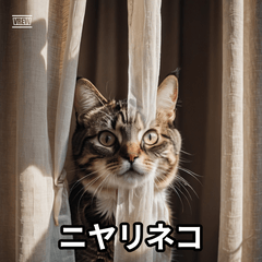 [LINEスタンプ] ニヤリ猫