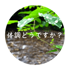 [LINEスタンプ] 風景・景色写真のスタンプ2