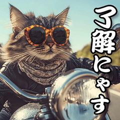 [LINEスタンプ] かっこいいライダー猫スタンプ