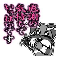 [LINEスタンプ] むしゅたー 19[丁寧な言葉グラデ文字]