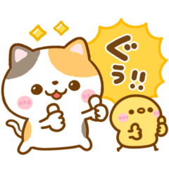 [LINEスタンプ] 毎日ねこねこ♡にゃんこ