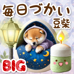 [LINEスタンプ] 毎日使う大人可愛い癒し豆しば BIG