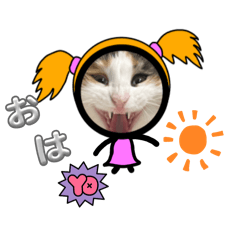 [LINEスタンプ] レディにゃんこ 元気のでるスタンプ