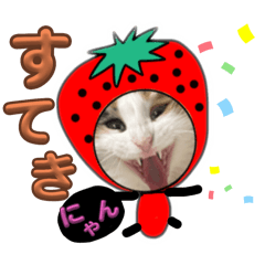 [LINEスタンプ] イチゴニャン 元気のでるスタンプの画像（メイン）