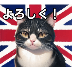 [LINEスタンプ] イギリスを愛するネコ