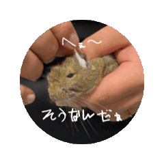 [LINEスタンプ] 動物たちの日常会話1