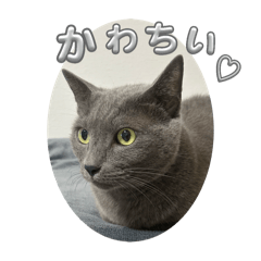 [LINEスタンプ] RIRI＆RON⑪