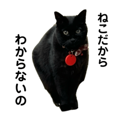 [LINEスタンプ] くろねこちょこりん⑤