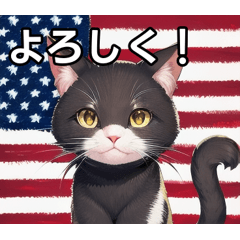 [LINEスタンプ] アメリカを愛するネコ