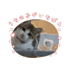 [LINEスタンプ] もふっ族スタンプ