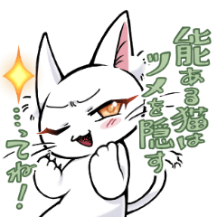 [LINEスタンプ] 白猫ねこにゃんの日常。