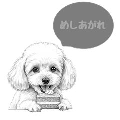 [LINEスタンプ] トイプードル スケッチ 気持ち編