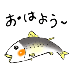 [LINEスタンプ] いつでも使えるお魚スタンプ