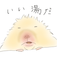 [LINEスタンプ] hemhemjpのどうぶつ絵ん5