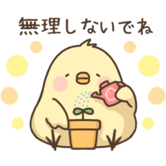 [LINEスタンプ] 使える！ひよこのピヨちゃんスタンプ