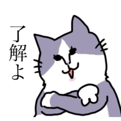 [LINEスタンプ] おかんぽいねこのスタンプ