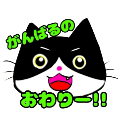 [LINEスタンプ] 日常で使える単純こねこ【白黒ハチワレ】