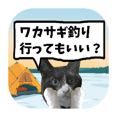 [LINEスタンプ] 爆釣！ワカサギ釣り大好き猫エレのスタンプ