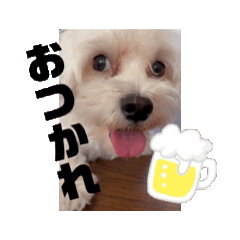 [LINEスタンプ] ぷて太