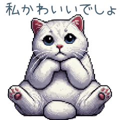 [LINEスタンプ] メンヘラ白ねこちゃん【かわいい・面白い】