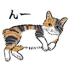 [LINEスタンプ] 猫の菊ちゃんスタンプ3