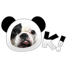 [LINEスタンプ] もちおと愉快な仲間たち7