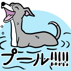 [LINEスタンプ] 夏に使えるイタグレ達のスタンプ