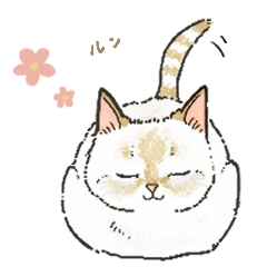 [LINEスタンプ] ささかま猫との暮らし