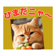 [LINEスタンプ] [動く]ポップアップ 猫1